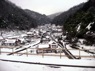 �F�s��̃z�[������̌i�F