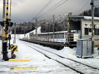 ���i�o�X�L�[��O�̃z�[���S�i