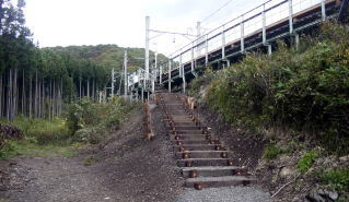 ���c�X�̃z�[������