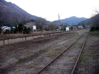 �X�C�b�`�o�b�N����̌Ė�̃z�[��