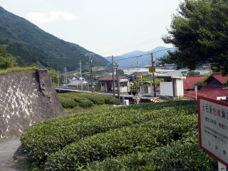 �񔨂̉w�ƒ���