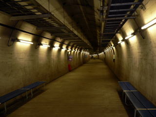 �{�B�ƕ��s���č��ꂽ��ƍB