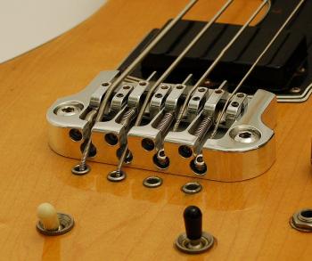 Sleek Elite -Hipshot?-