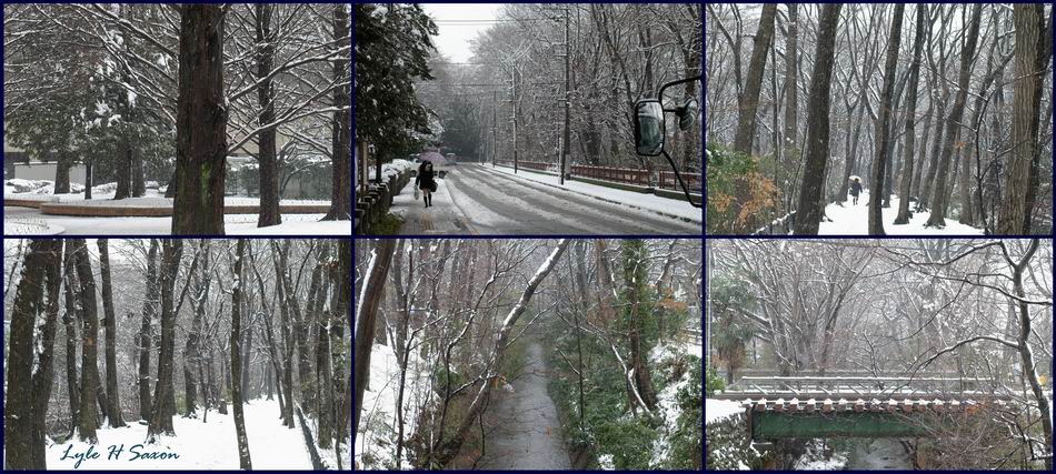 Snow - by Lyle (Hiroshi) Saxon