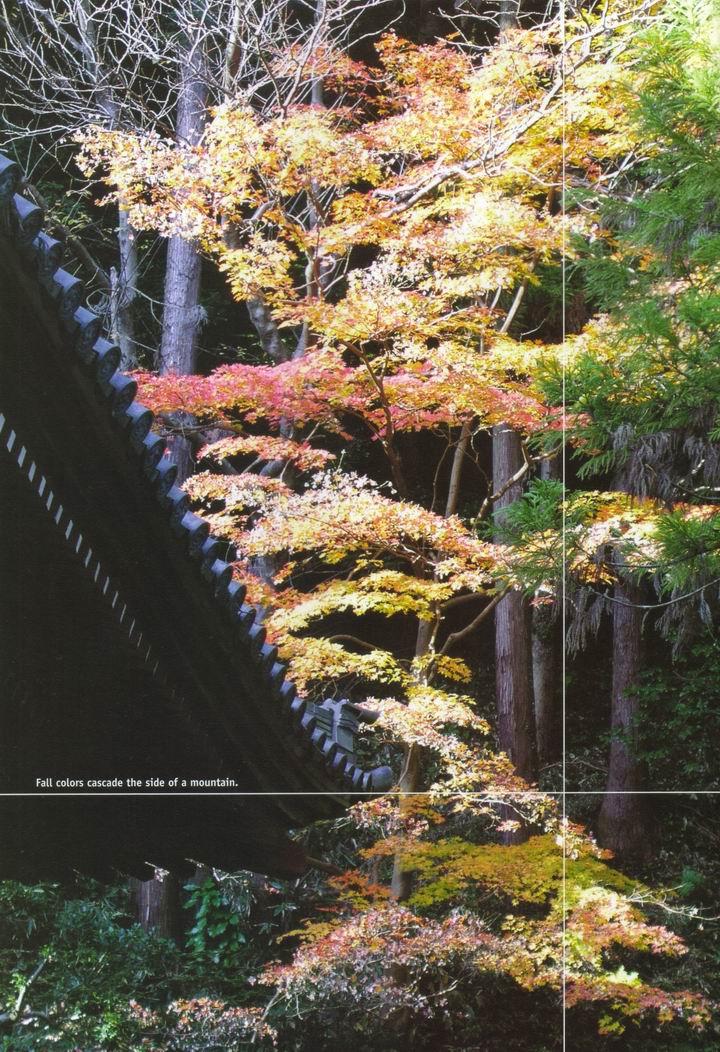 Fall Colors