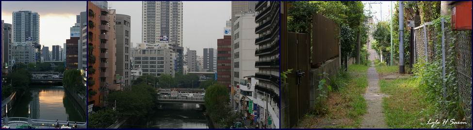 "Iroiro, August 2006" - by Lyle H Saxon, Images Through Glass, Tokyo