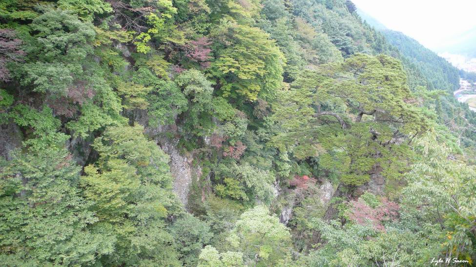 Kinugawa Onsen and Nikko - by Lyle (Hiroshi) Saxon, ITG, Tokyo