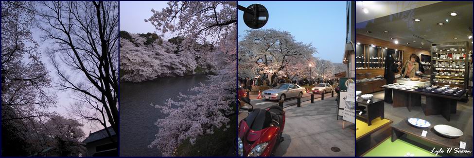Sakura-2009 by Lyle (Hiroshi) Saxon, Images Through Glass, Tokyo