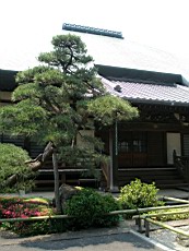 ChoonjiA20.JPG