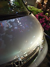Ebisu13.JPG