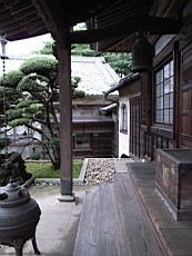 R0011229.JPG
