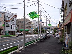 R0011293.JPG