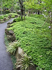 Iroiro09.jpg