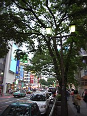 Iroiro48.JPG