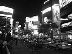 Iroiro52.JPG