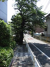 Iroiro75.JPG
