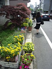 Iroiro86.JPG