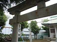 Nakamagome01.JPG