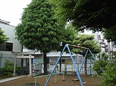 Nakamagome03.JPG