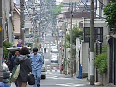 Nakamagome08.JPG