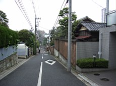 Nakamagome09.JPG