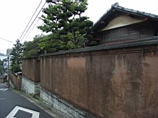 Nakamagome10.JPG