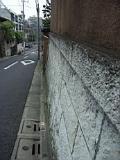 Nakamagome12.JPG