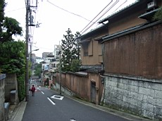 Nakamagome13.JPG