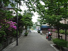Nakamagome17.JPG