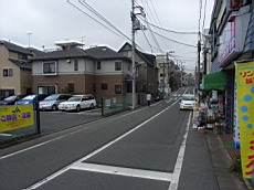 Nakamagome19.JPG