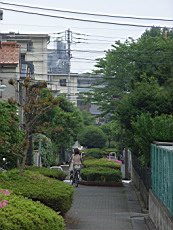 Nakamagome20.JPG