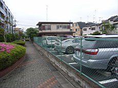 Nakamagome21.JPG