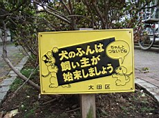 Nakamagome28.JPG