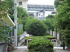 Nakamagome29.JPG