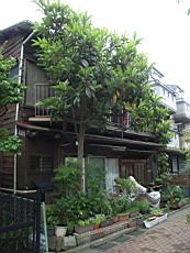 Nakamagome30.JPG