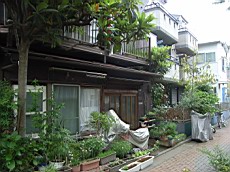 Nakamagome31.JPG
