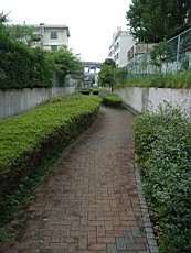 Nakamagome40.JPG