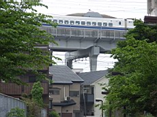 Nakamagome41.JPG