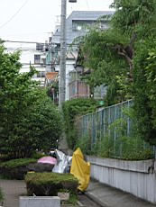 Nakamagome42.JPG