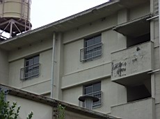 Nakamagome43.JPG