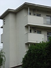 Nakamagome44.JPG