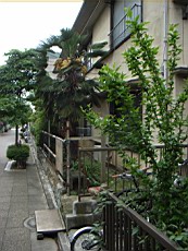 Nakamagome49.JPG