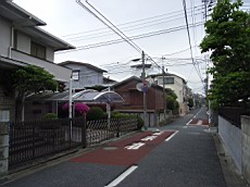 Nakamagome54.JPG
