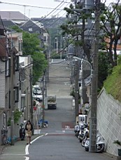 Nakamagome55.JPG