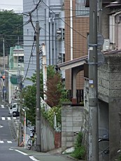 Nakamagome58.JPG