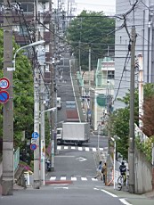 Nakamagome59.JPG