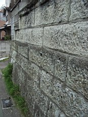 Nakamagome61.JPG
