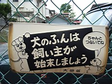 Nakamagome63.JPG