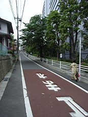 Nakamagome64.JPG