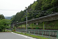 Nenog03.JPG